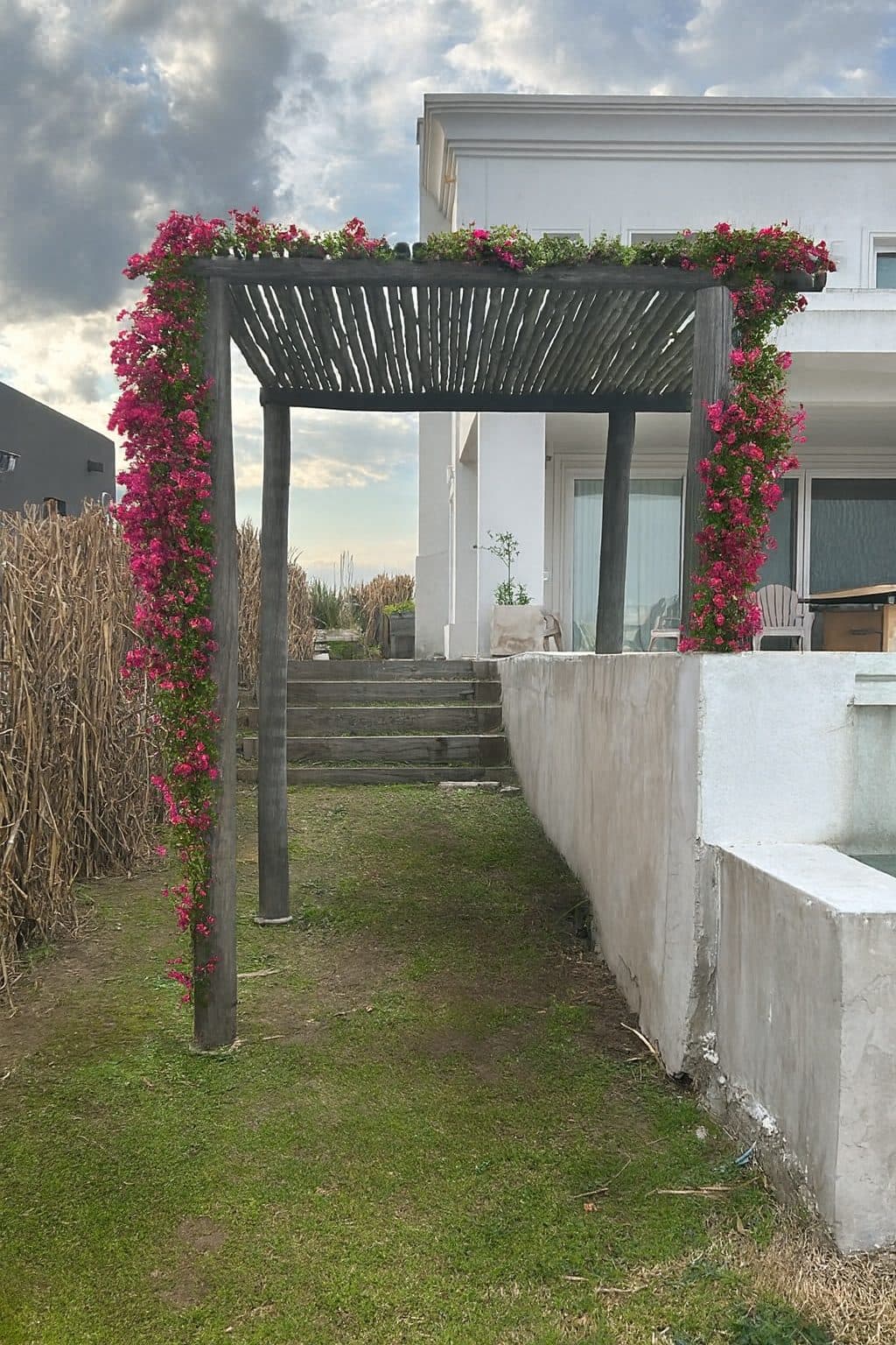 Pérgola de madera cubierta de santa rita en flor junto a la casa